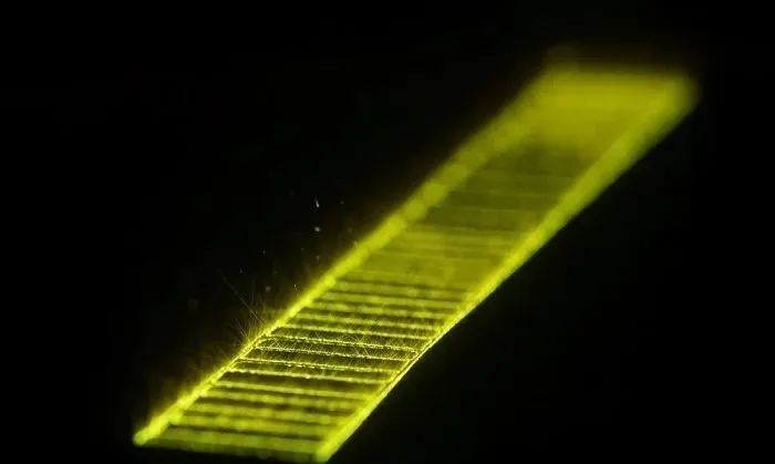 UG环球·(中国区)官方网站